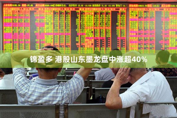 锦盈多 港股山东墨龙盘中涨超40%