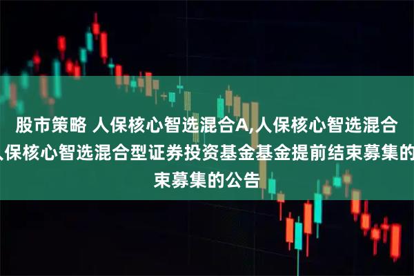 股市策略 人保核心智选混合A,人保核心智选混合C: 人保核心智选混合型证券投资基金基金提前结束募集的公告