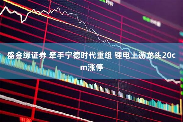 盛金缘证券 牵手宁德时代重组 锂电上游龙头20cm涨停