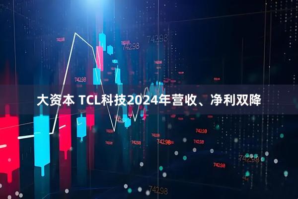 大资本 TCL科技2024年营收、净利双降