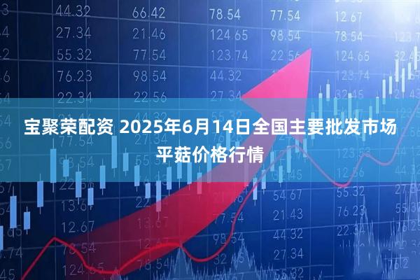 宝聚荣配资 2025年6月14日全国主要批发市场平菇价格行情